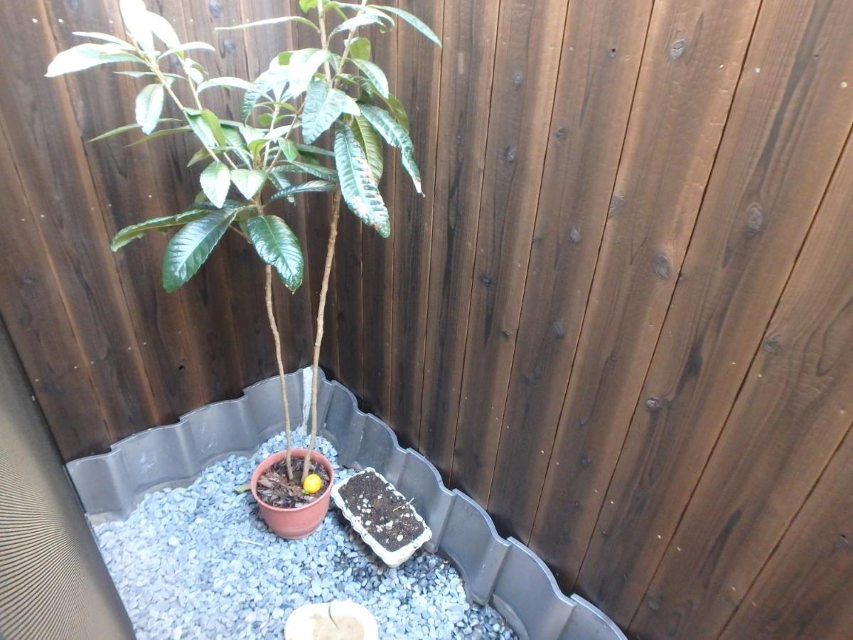 Standard Apartment,933716194:JPEG