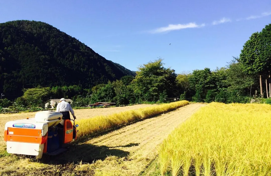 Ohara Sensui Surrounded By Beautiful Nature-1