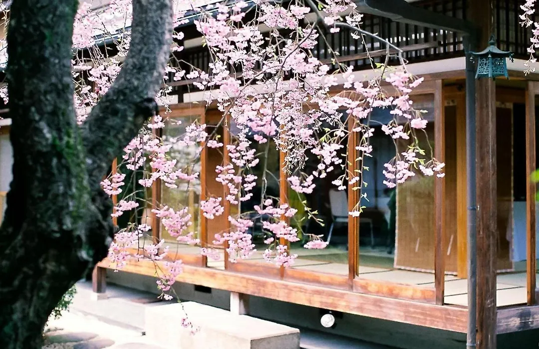 Ryokan Genhouin - Vacation Stay 21842V-1