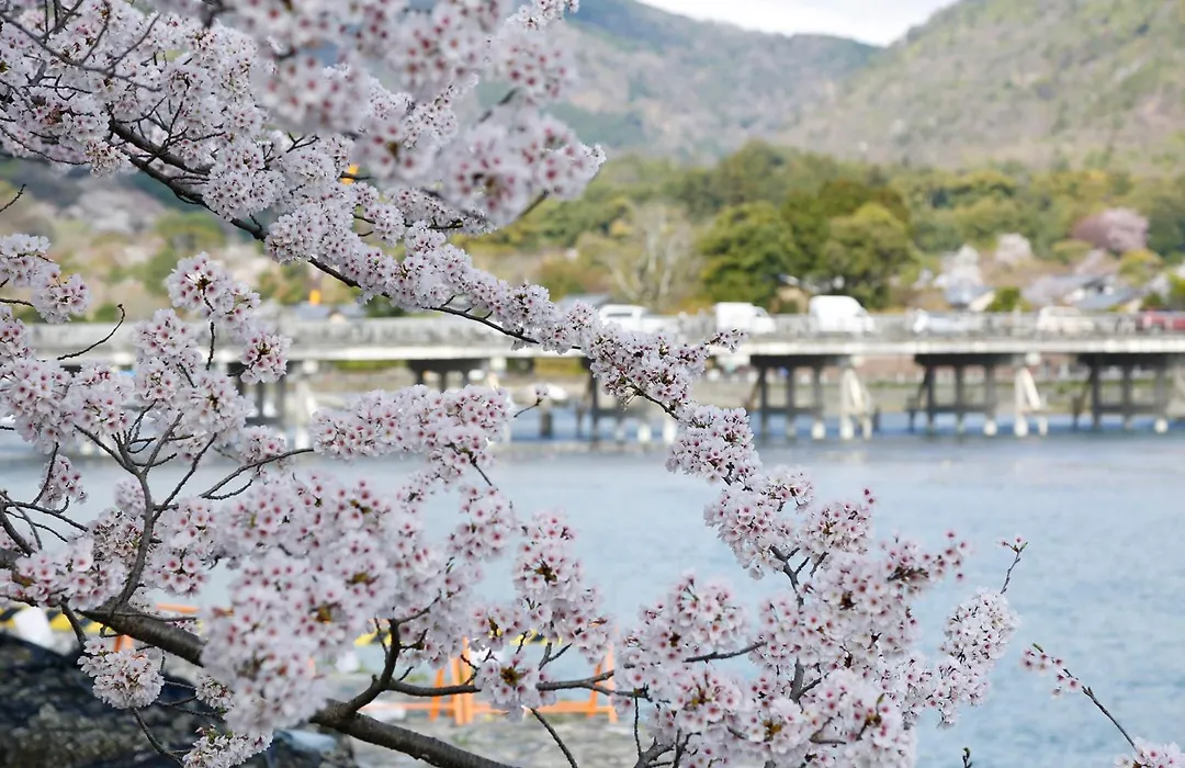 Kyoto Arashiyama Onsen Ryokan Togetsutei-1