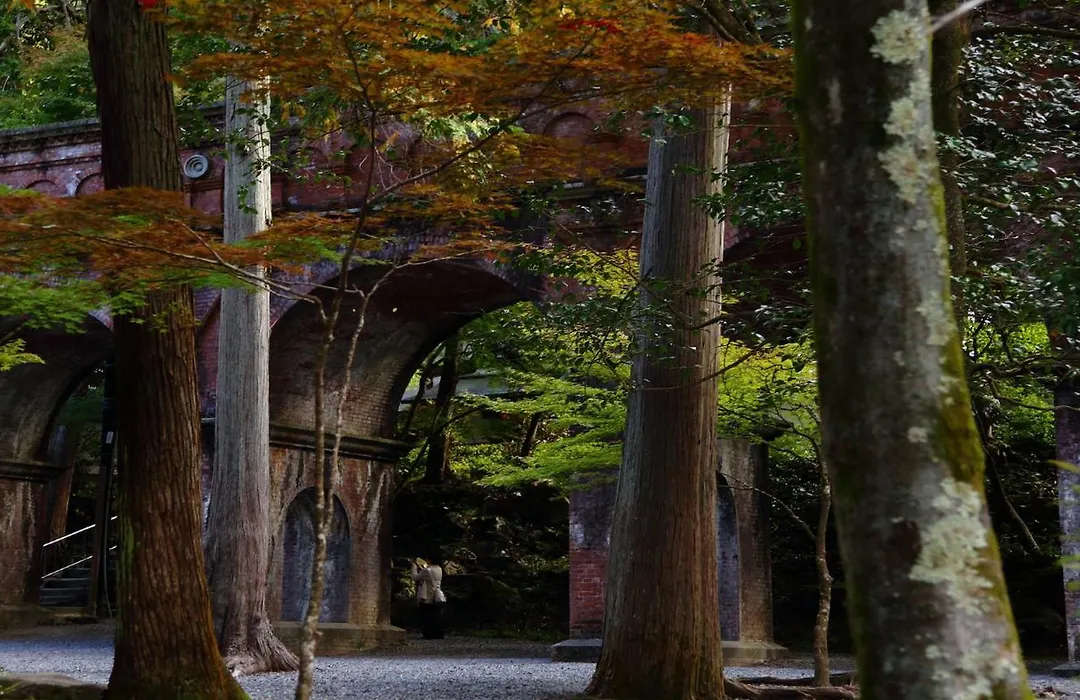 Higashiyama Shikikaboku-1