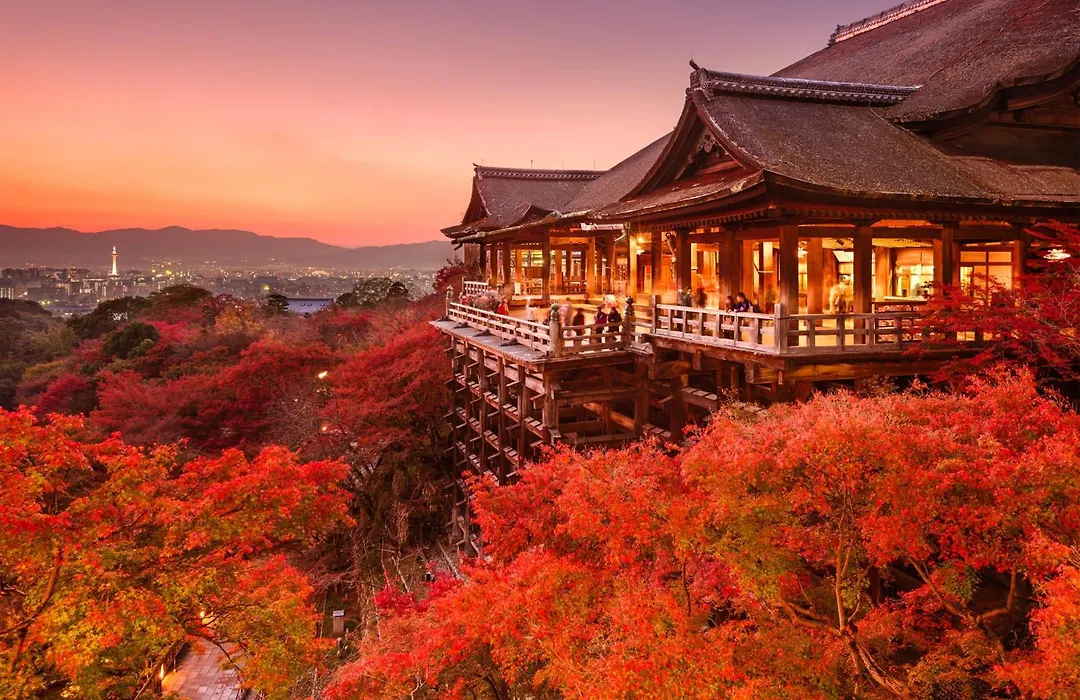 Webase Kyoto-1