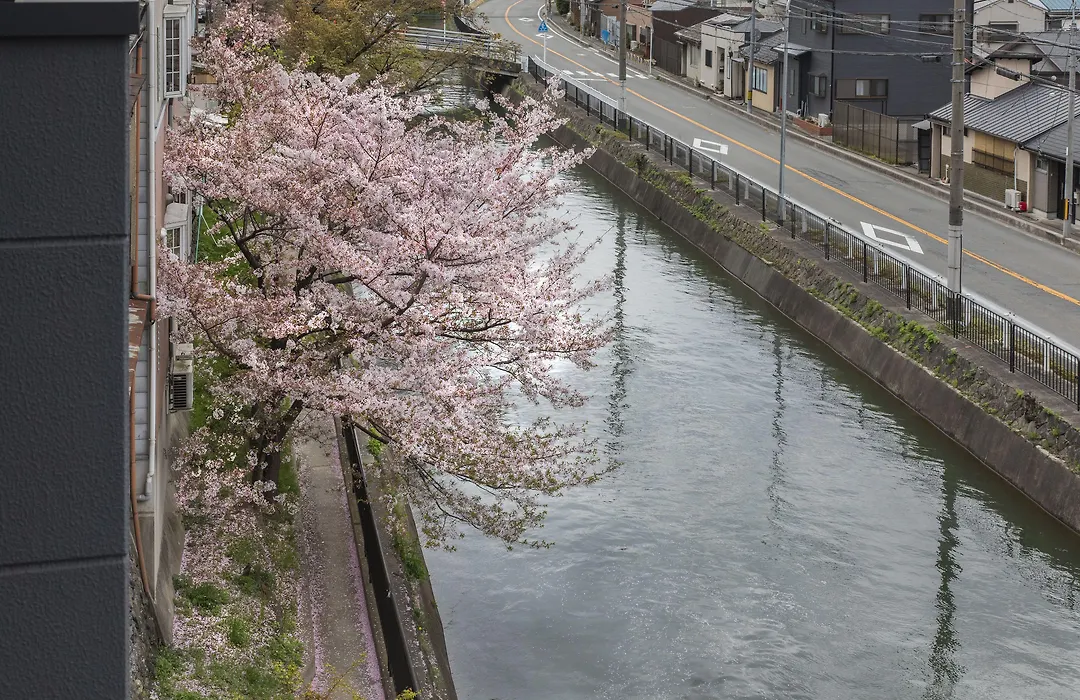 Tofukuji Riverside-1