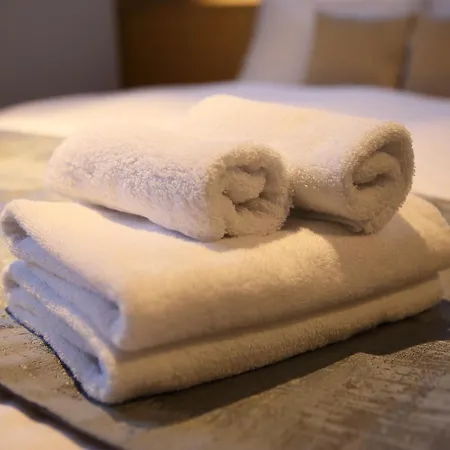 Kyoto Gion Hotel-3