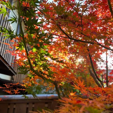 Imakumano Terrace - Dohachi An 道八庵-3