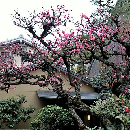Yadoya Nishijinso-2