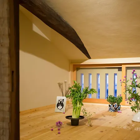 Ryokan Mugen (Adults Only)-3