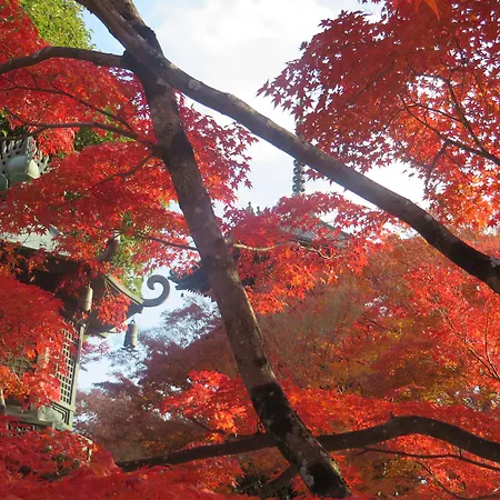 Villa Honen-In Nishi-3