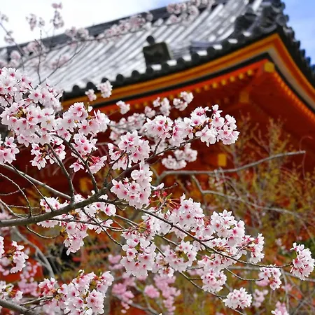 Kyomai Inn-3