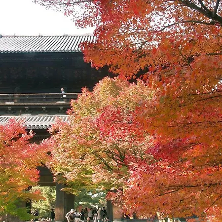 Neneko House-3