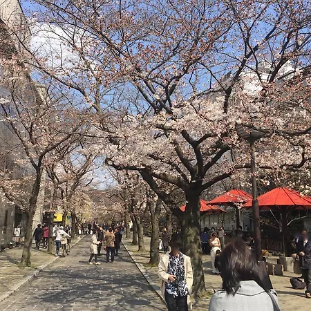 Kyomaru-3