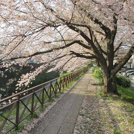 Estate Tokyu Nishikyogoku-2