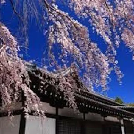 Close To Golden Temple -Kinkakuji--2