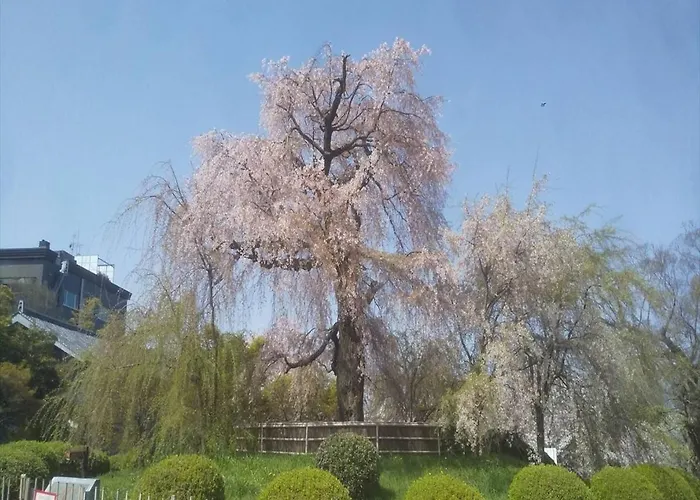Hannari 河原町八条 京都市
