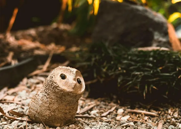 Keiyugyo Himawari - Vacation Stay 17051V 京都