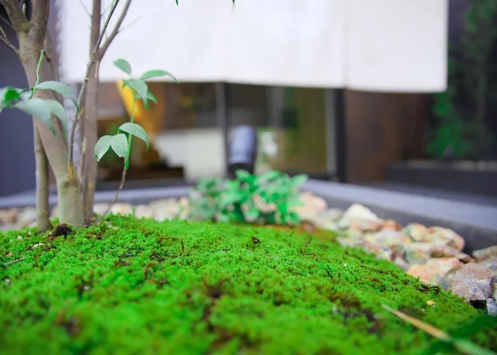 Ｈｏｔｅｌ Ｍｕｓｏ - Vacation Stay 97531V 京都